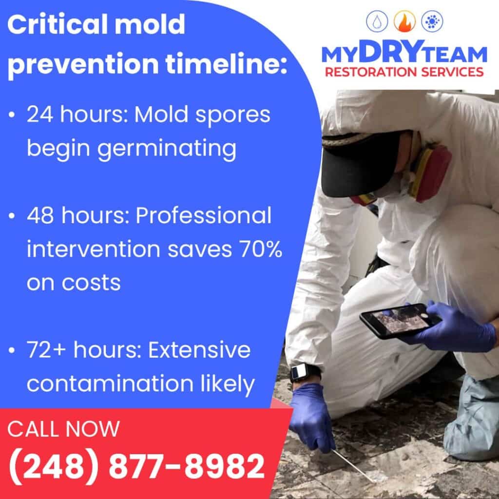 A My Dry Team technician in a full hazmat suit using a swab to collect a sample from a floor. The image emphasizes the critical mold prevention timeline: mold spores germinate in 24 hours, professional intervention within 48 hours saves 70% on costs, and extensive contamination occurs after 72 hours.