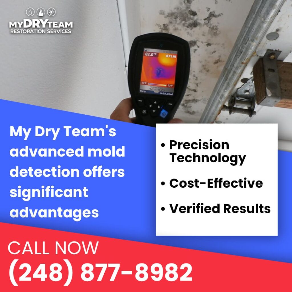mold detection