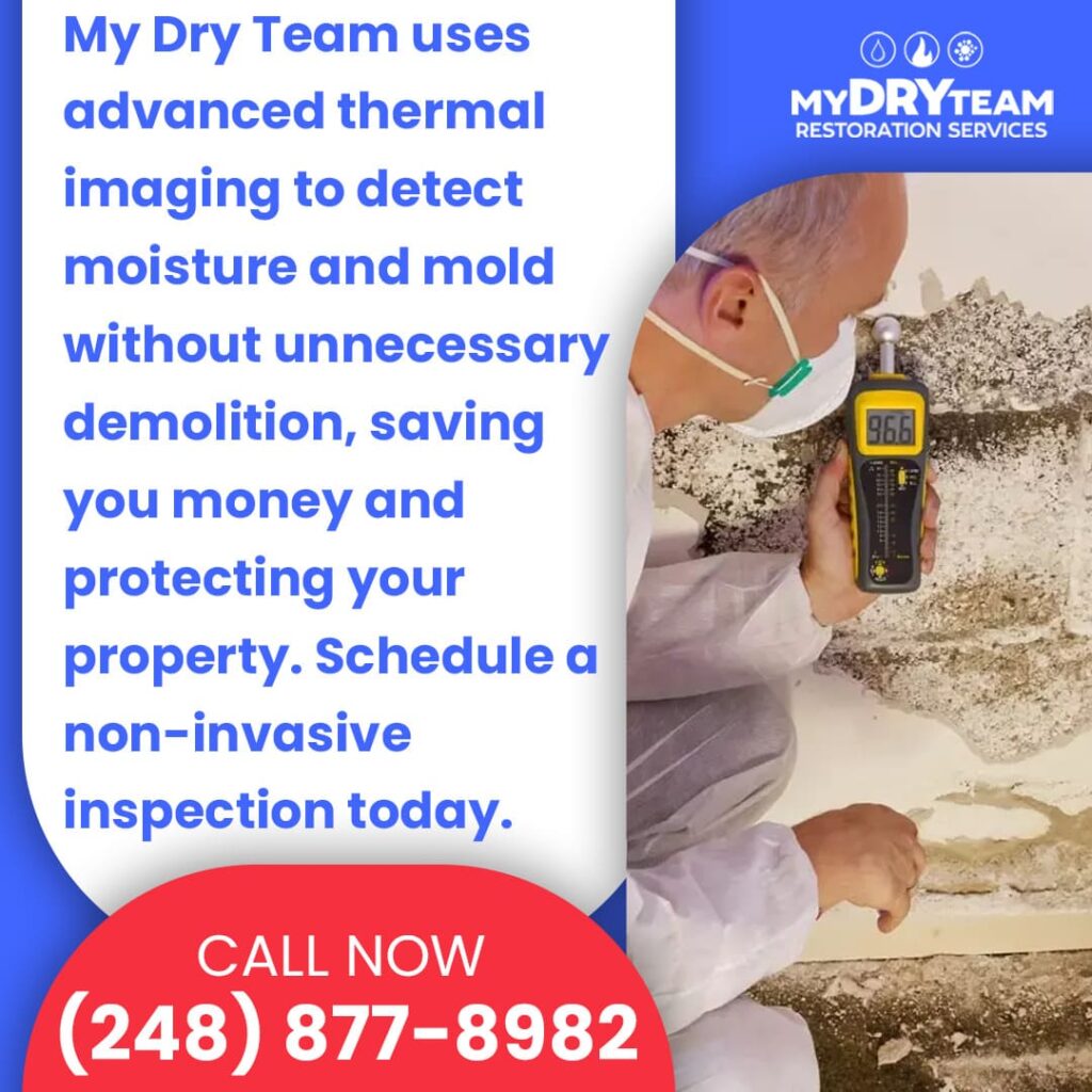 using thermal imaging to detect moisture