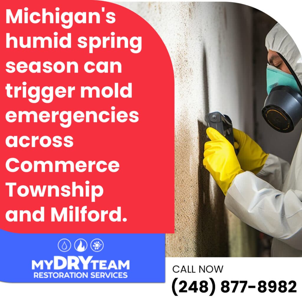 Mold emergencies