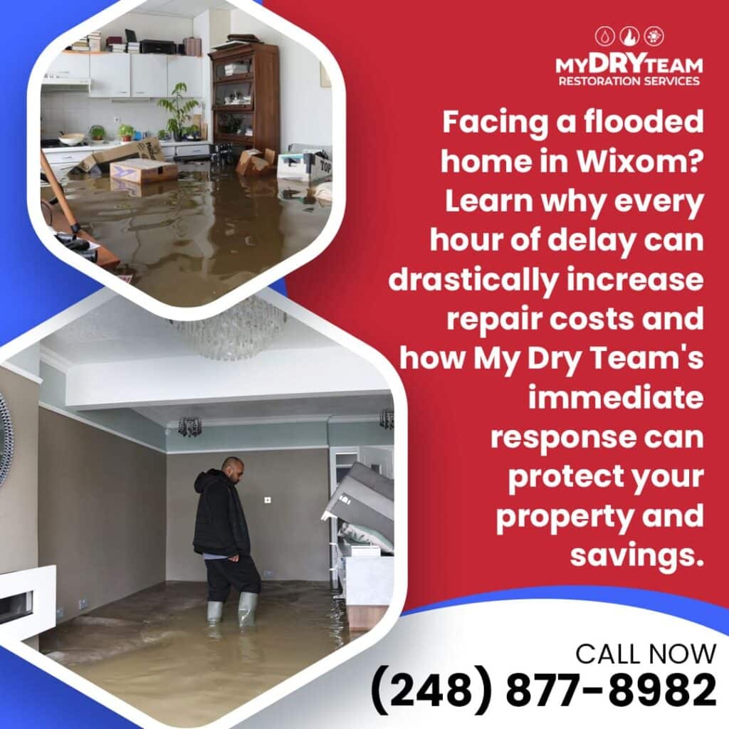 Water Removal in Wixom