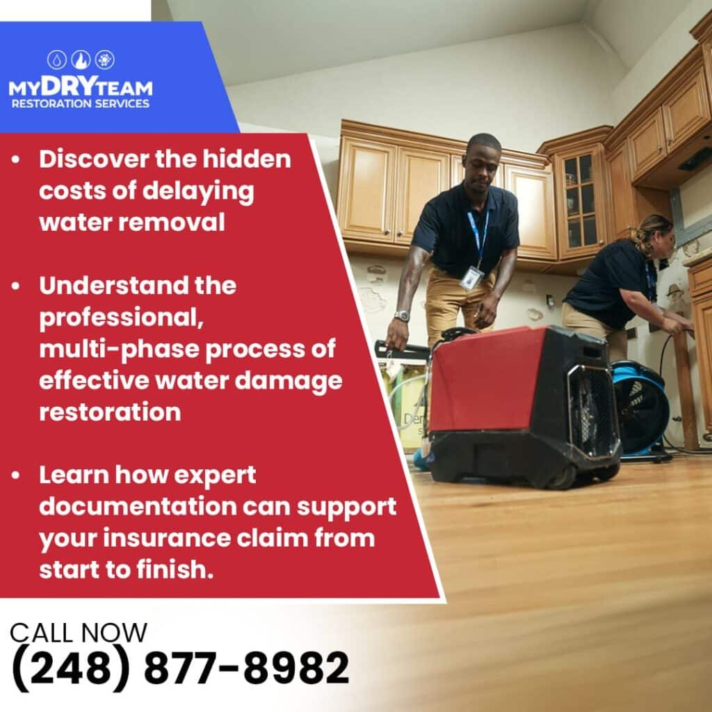 Professional Water Damage Restoration