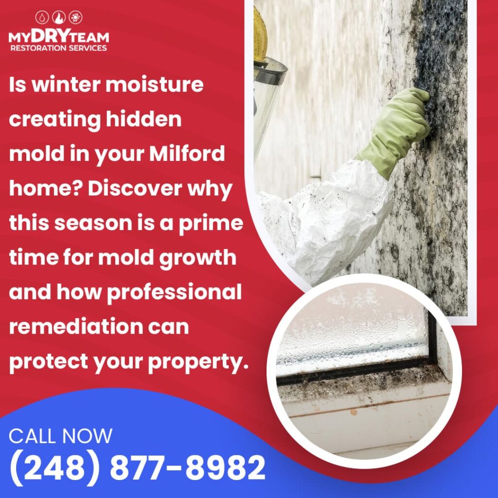 Professional Mold Remediation in Milford