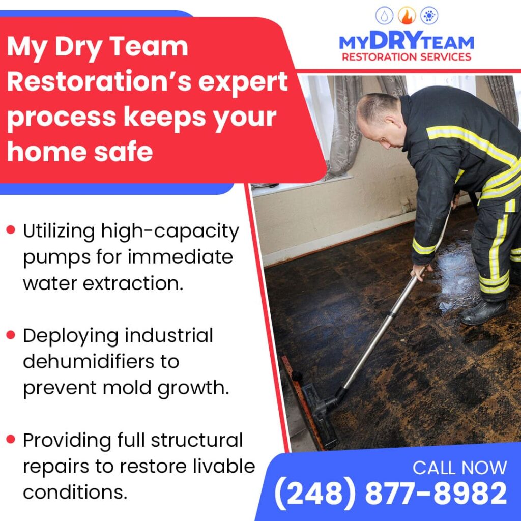 Expert Water Damage Restoration Process