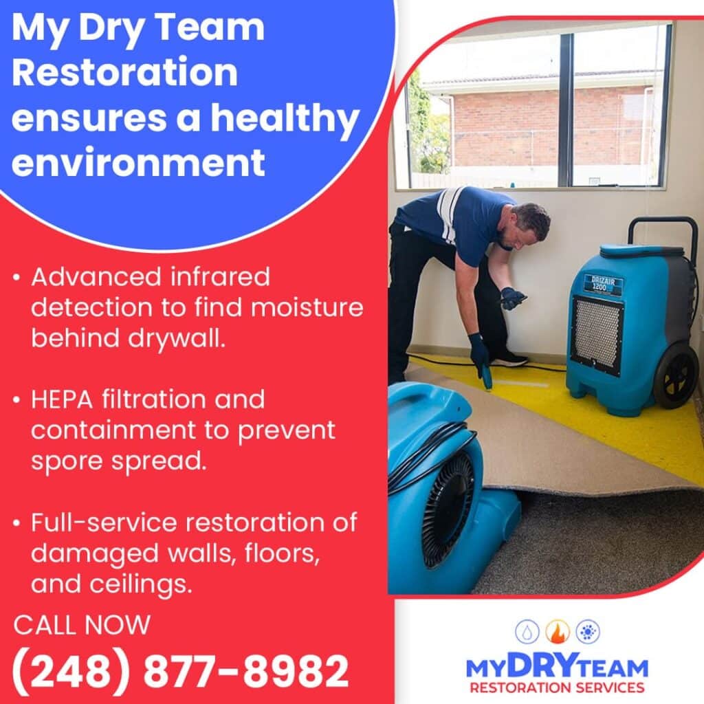 Advanced Mold Remediation Techniques