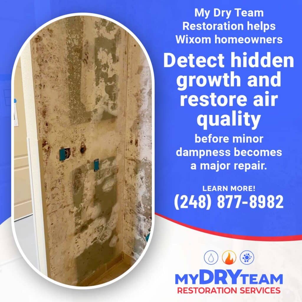Detect hidden mold growth.