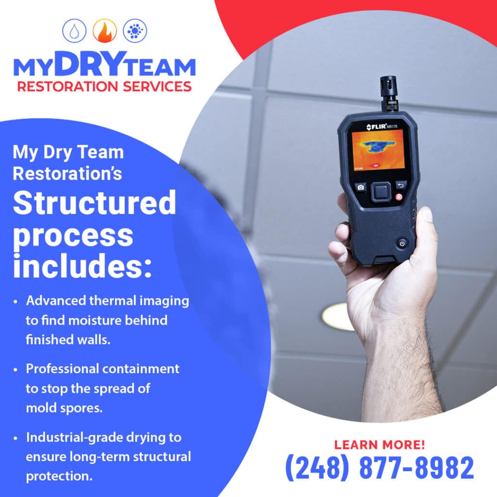 Structured process for mold remediation.