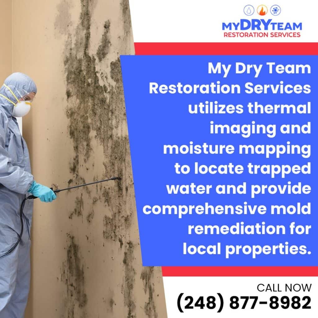 Thermal imaging and moisture mapping for mold remediation