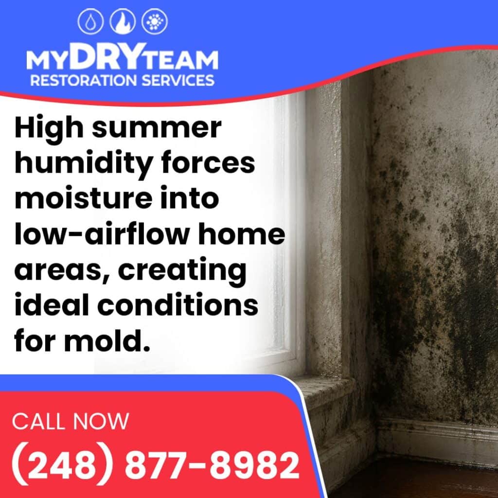 Mold growth around a window caused by high indoor humidity.