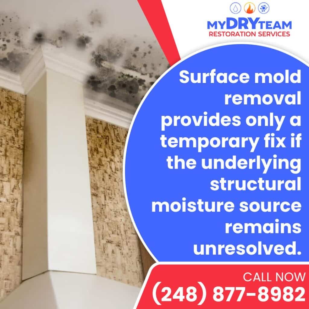 Mold inside the house, on the ceiling.